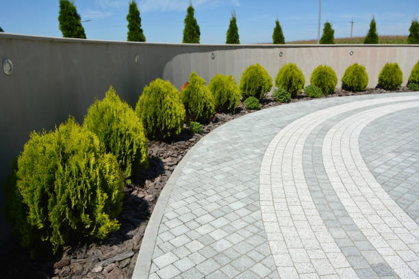 Best Driveway Repair Near Me  in Thorndale, TX
